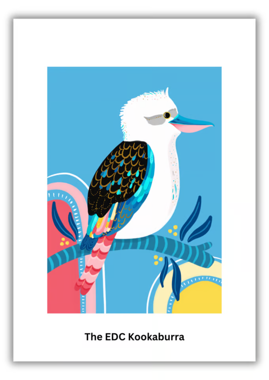The Kookaburra – Koi Knives