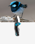 "Bella" | The Blue Wren EDC Pocket Knife