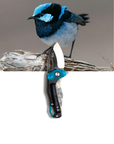 "Bella" | The Blue Wren EDC Pocket Knife
