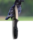 "Chris" | The Crow EDC Pocket Knife