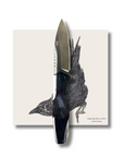 "Chris" | The Crow EDC Pocket Knife - Koi Knives