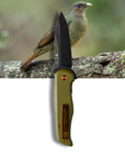 "Bek" | The Bowerbird Female