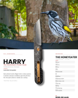 "Harry" | The Honey Eater G10