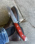 Bushman's Knife | Red Gum Handle - Koi Knives
