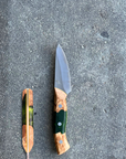 BBQ Paring Knife | Kookaburra - Koi Knives