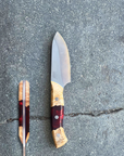 Australian Mini Chopper | The "Koala" Knife - Koi Knives