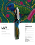 "Lily" | The Rainbow Lorikeet Pocket Knife
