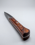 The Kyoto Paring Knife