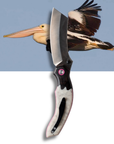 "Mr Percival" | The Pelican Pocket Knife