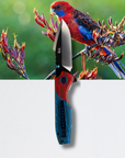"Ruby" | The Crimson Rosella