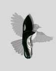 "Willy" | The Willy Wagtail EDC Pocket Knife