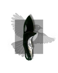 "Willy" | The Willy Wagtail EDC Pocket Knife