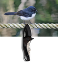 "Willy" | The Willy Wagtail EDC Pocket Knife
