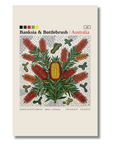 Banksia & Bottlebrush art card by Koi Knives