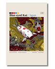 Blue-eyed Koi art card by Koi Knives