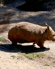 Will the Wombat | The BBQ Cleaver