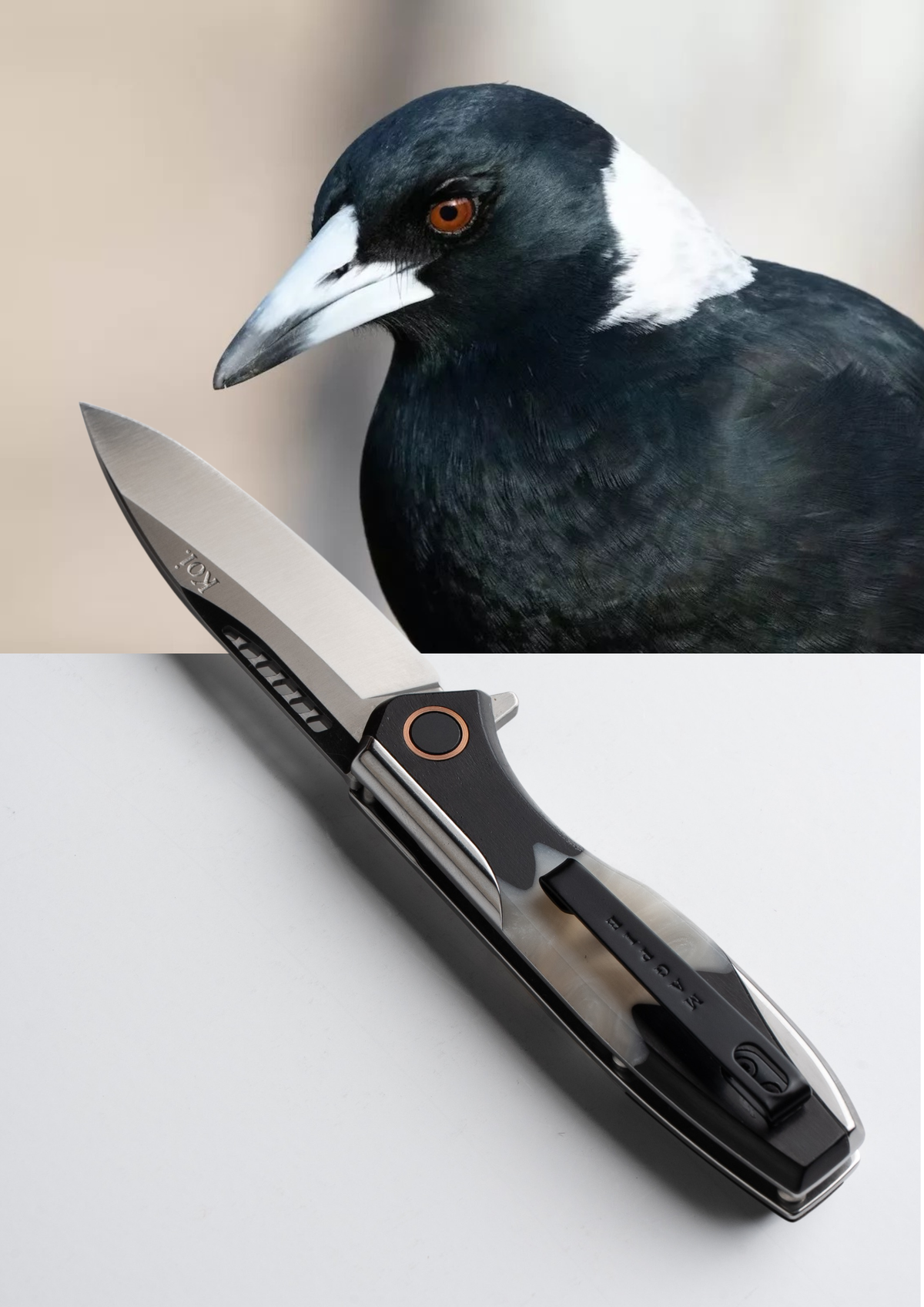 Australia's Most Popular Pocket Knives in 2026