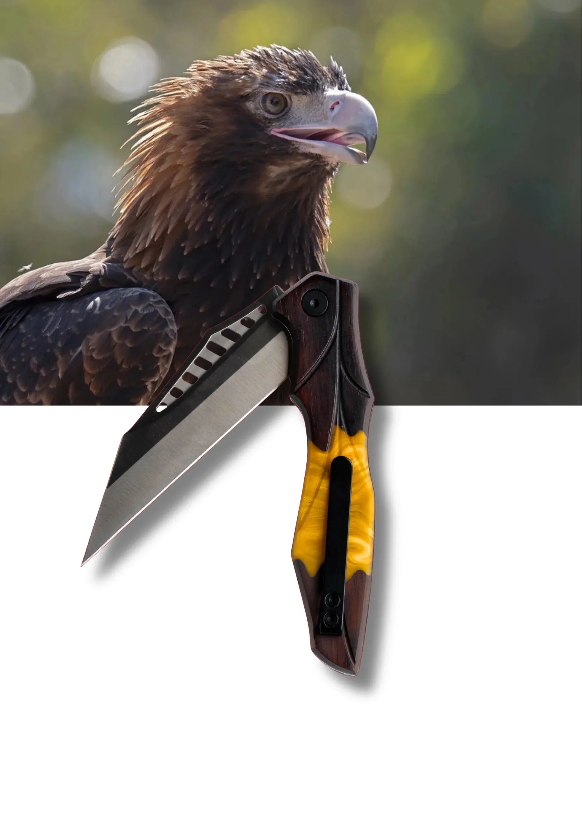 Best Pocket Knife for Australian Farmers (2026)
