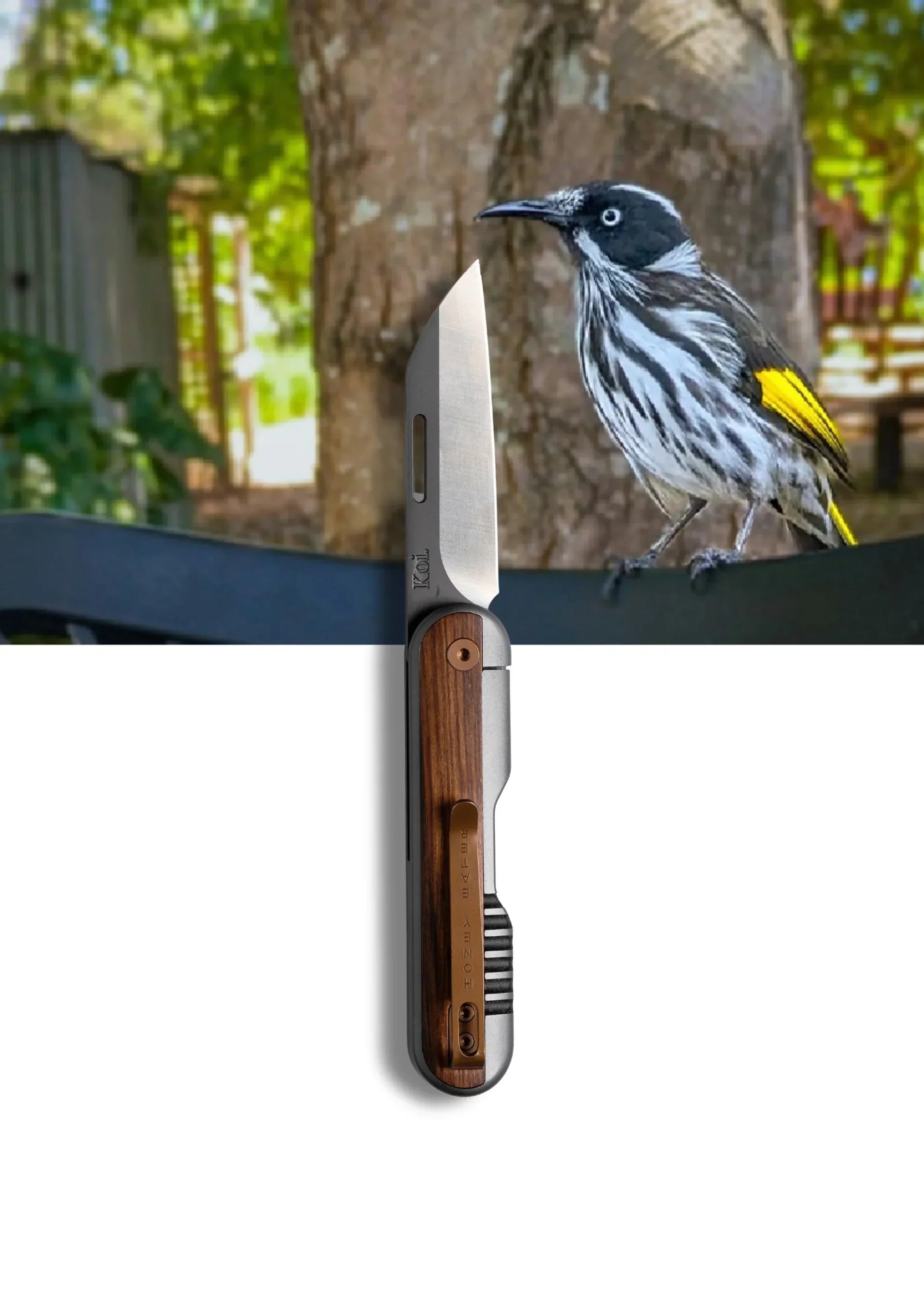 Best Pocket Knife for Australian Hunters (2026)