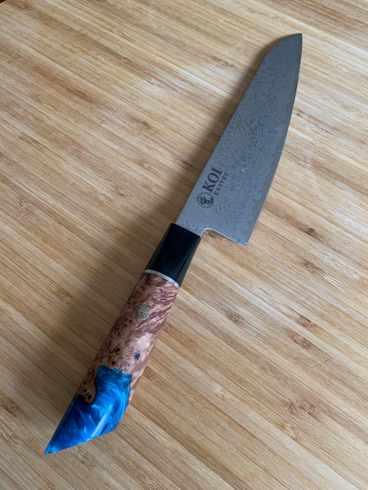 Gyuto Knife Darwin