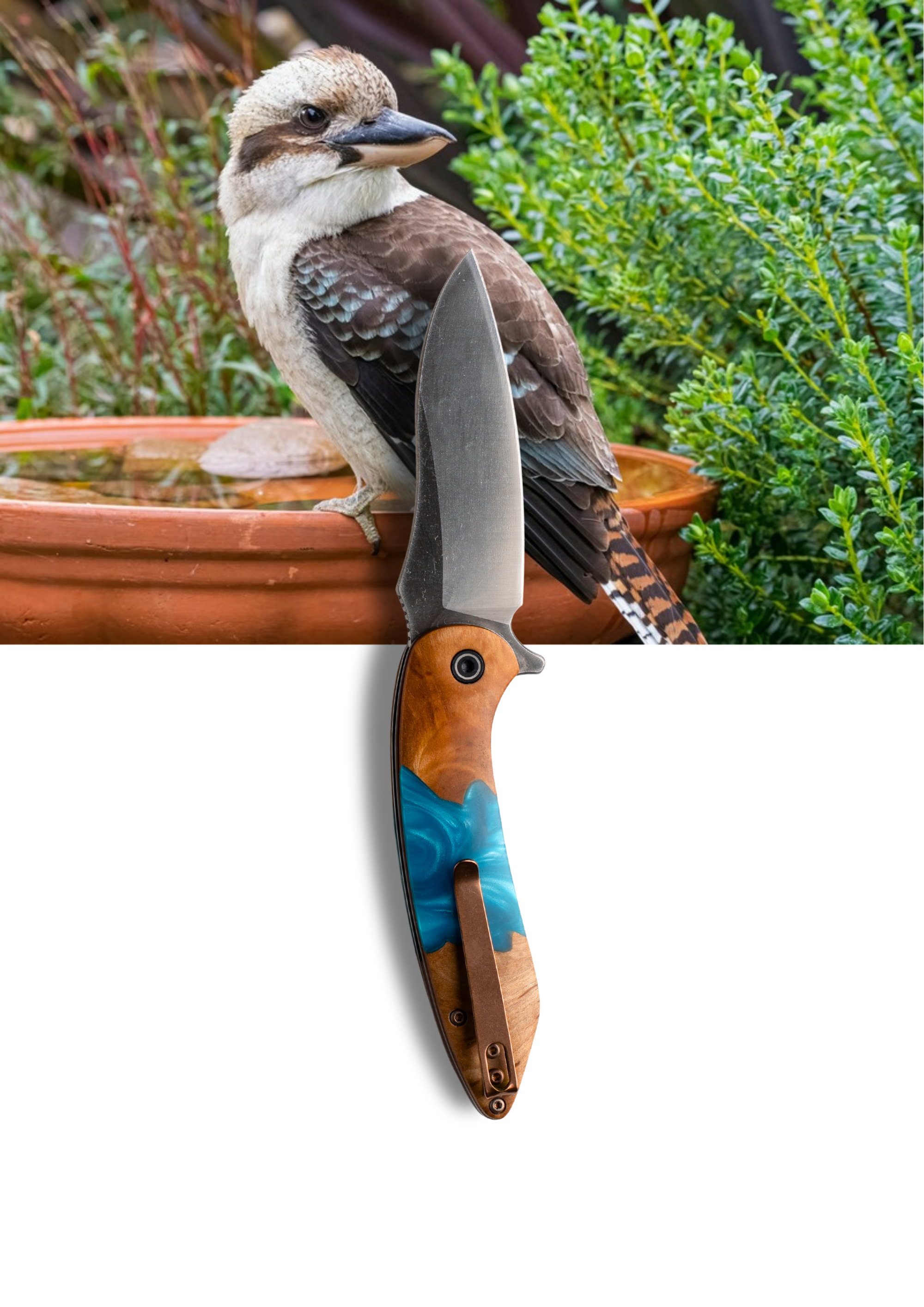 Best EDC Knife Australia 2026