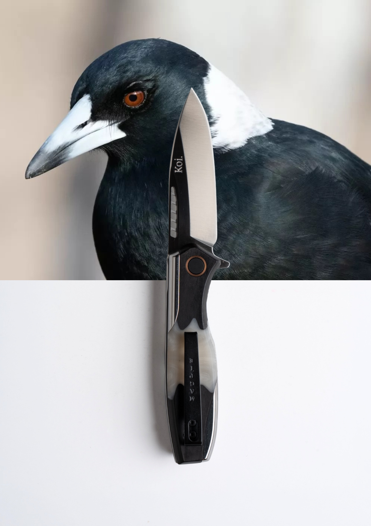 Max the Magpie CPM MagnaCut pocket knife by Koi Knives