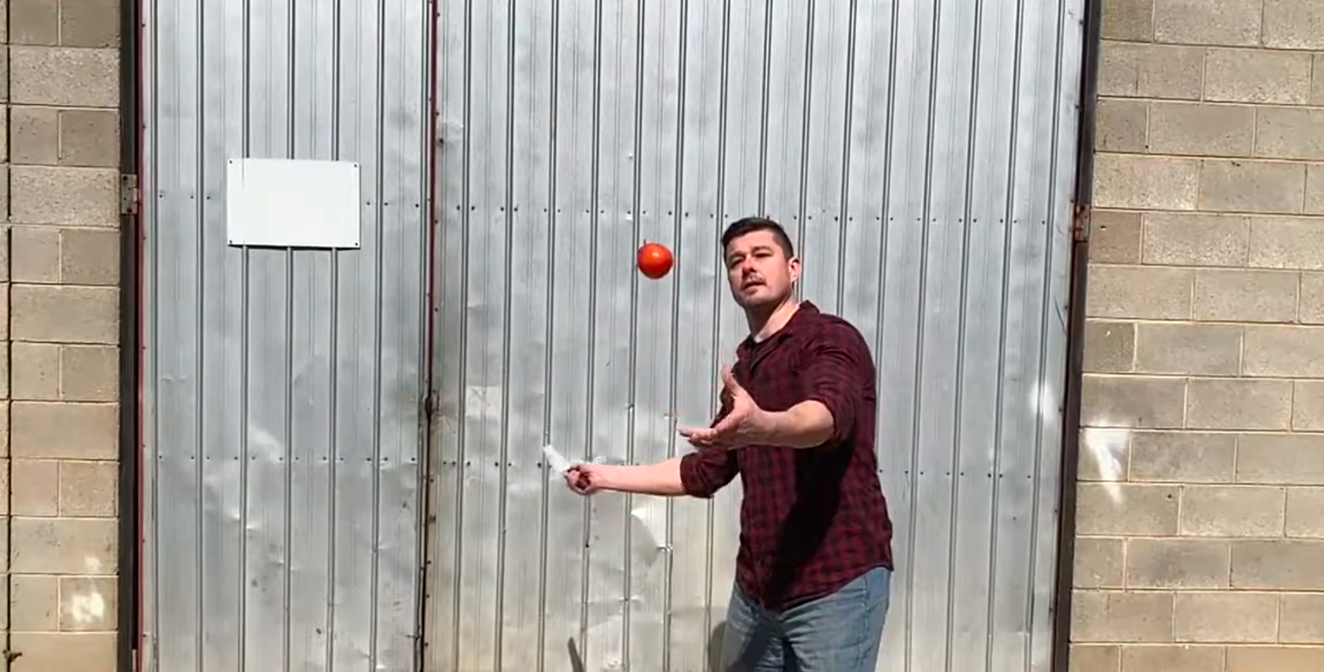 Sujihiki Knife Versus Airbourne Tomato