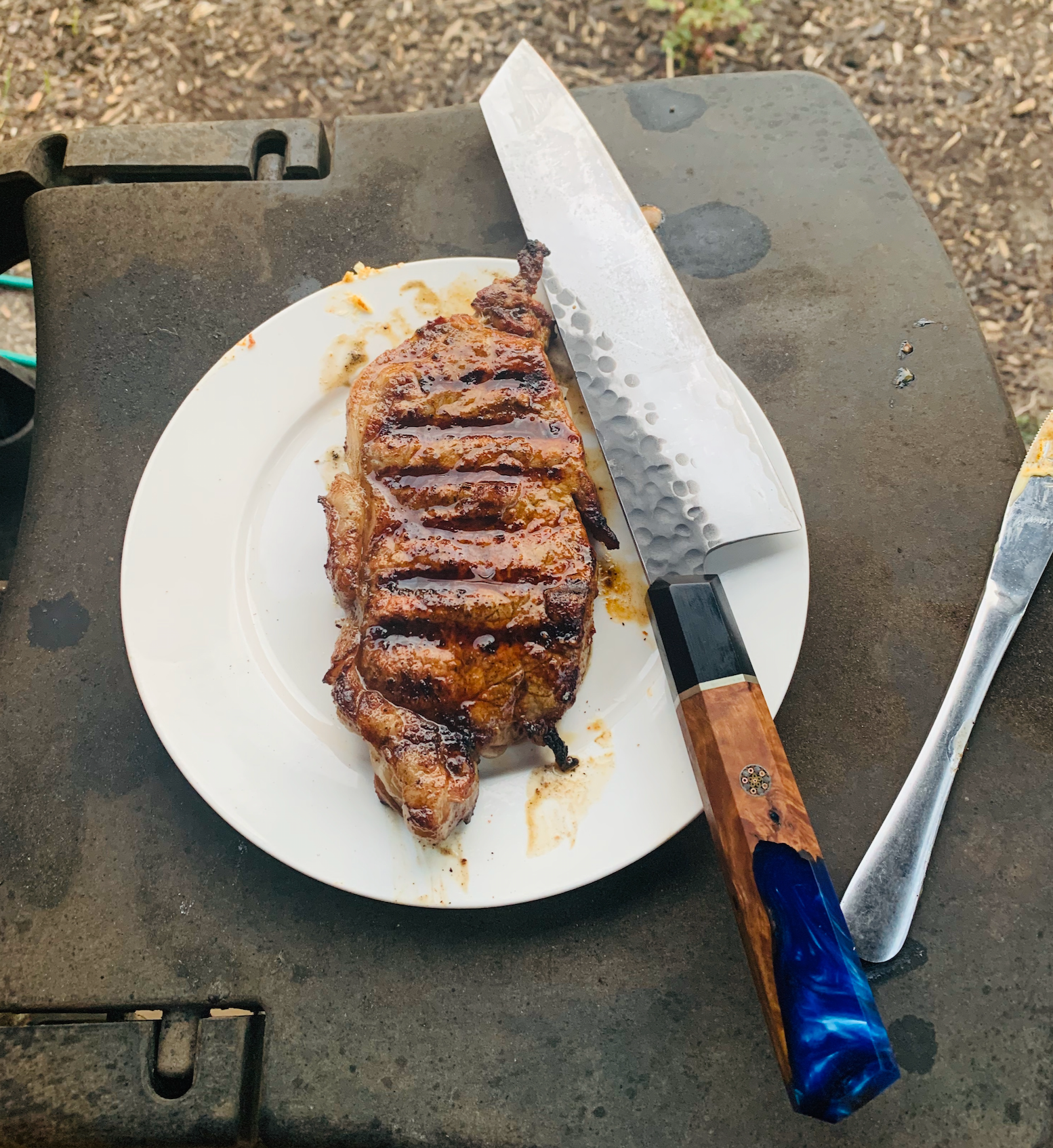 Kiritsuke Knife Perth