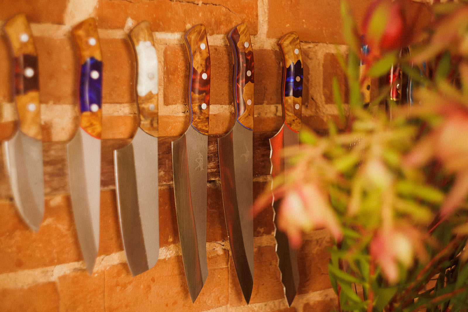 From Kitchen to Table: Koi Knives and the Art of Food Presentation