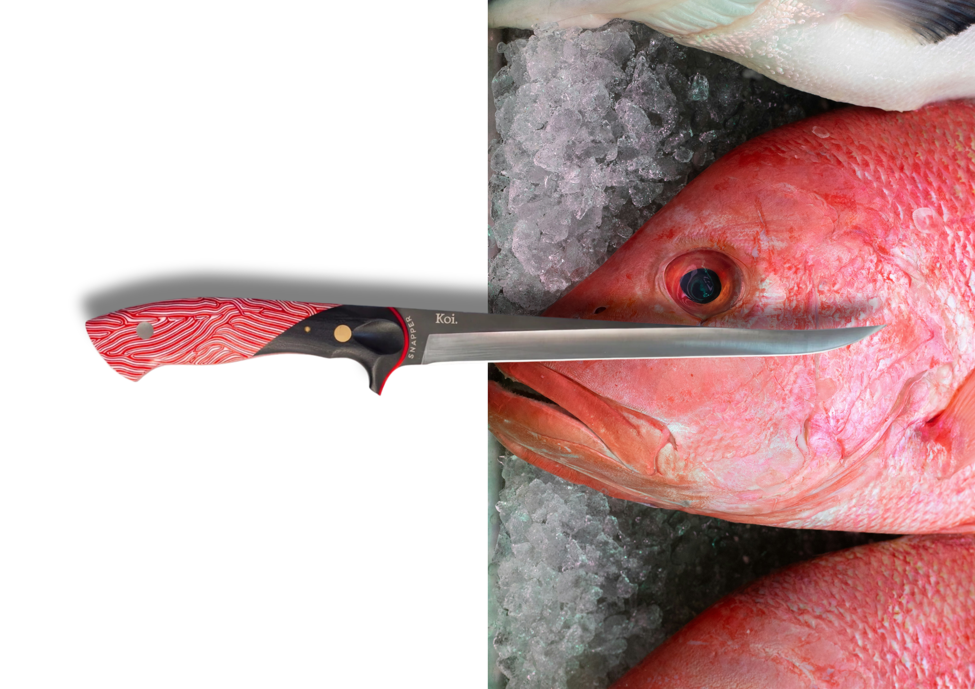 Best Fillet Knife for Australian Fish | King George Whiting, Snapper & Tuna | Koi Knives