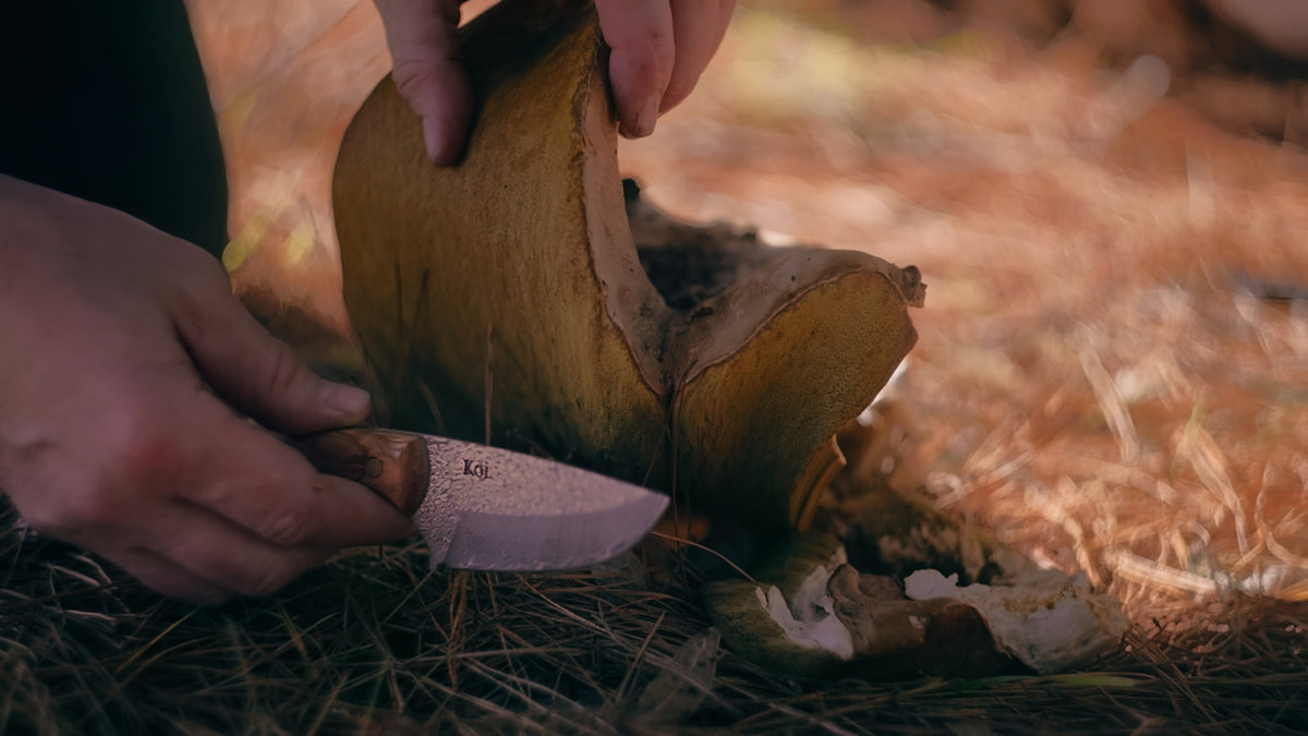 Bushwalking Shop Pocket Knives for Bushwalking – Koi Knives