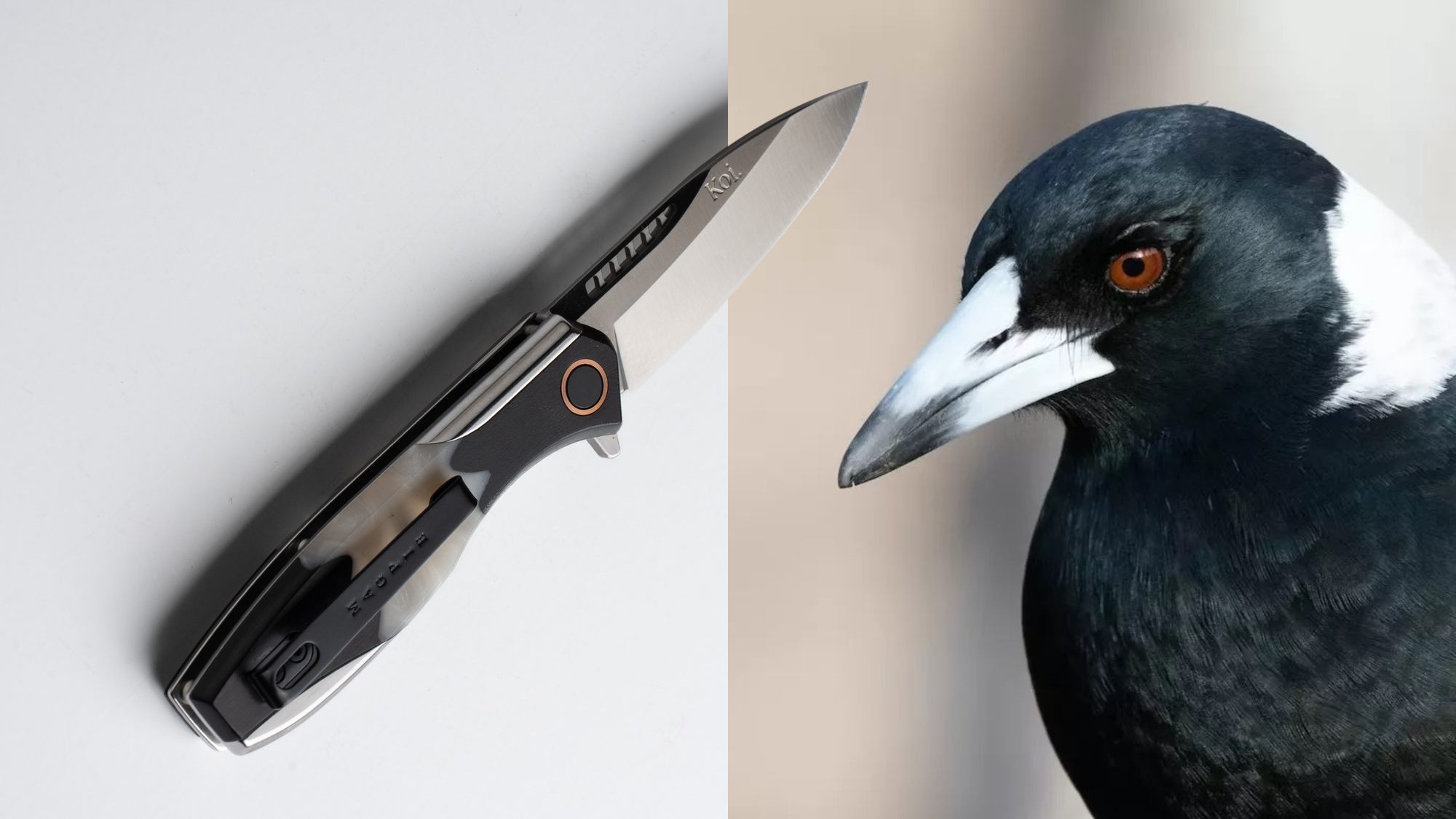Max the Magpie Pocket Knife