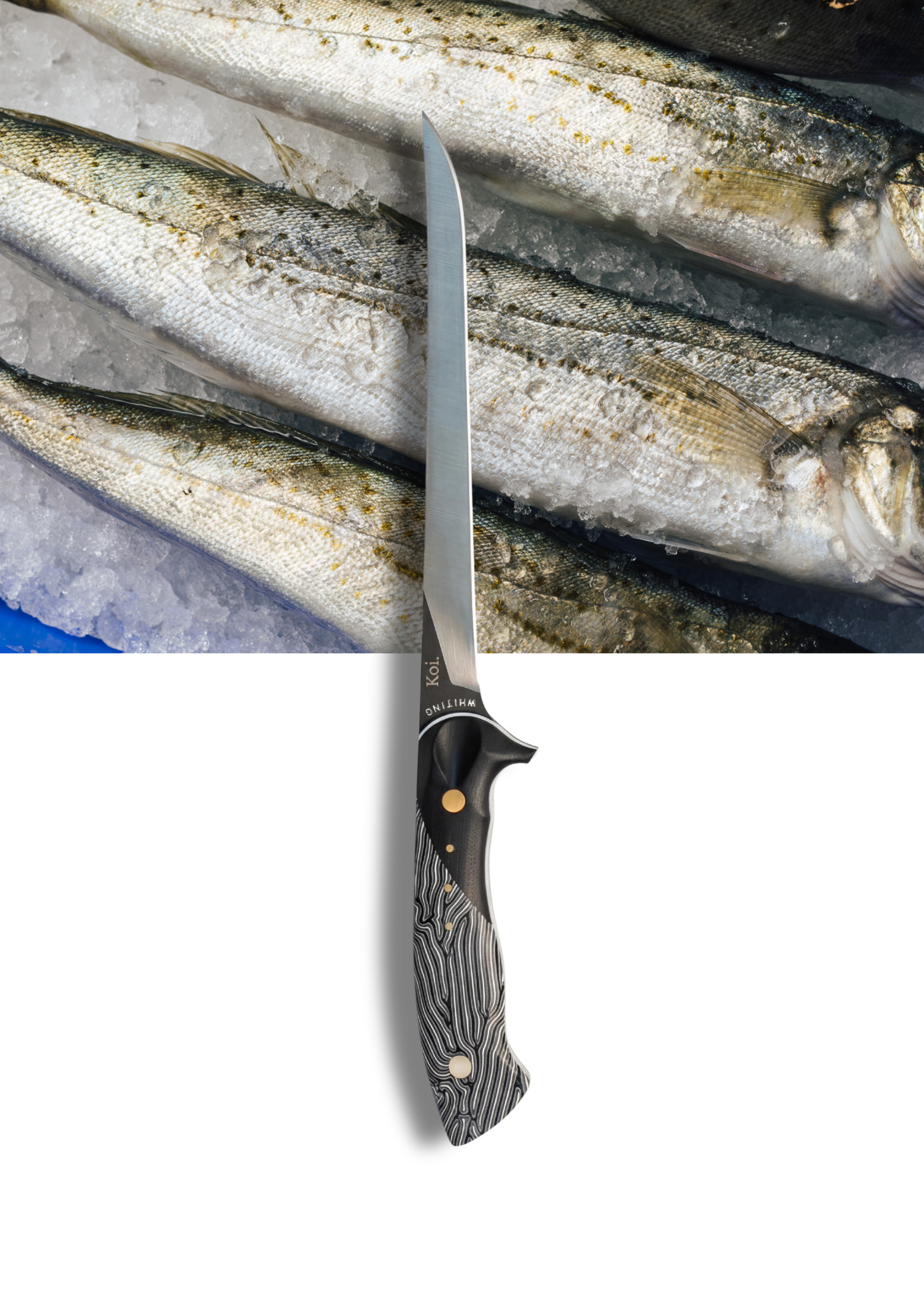 Best Fillet Knife for Australian Fishing (2026)
