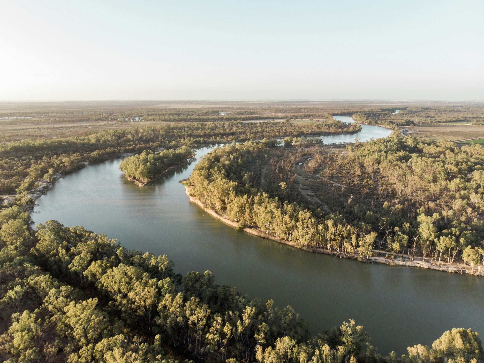 The Murray River | Australia's Largest River