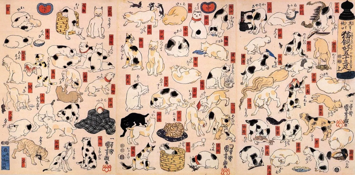 Chefs Cat Collection