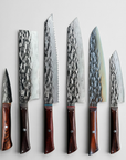 The Kyoto Complete Collection