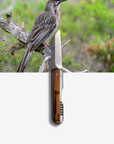 "Henry" | The Honey Eater AKA "Gentlemen's Knife"