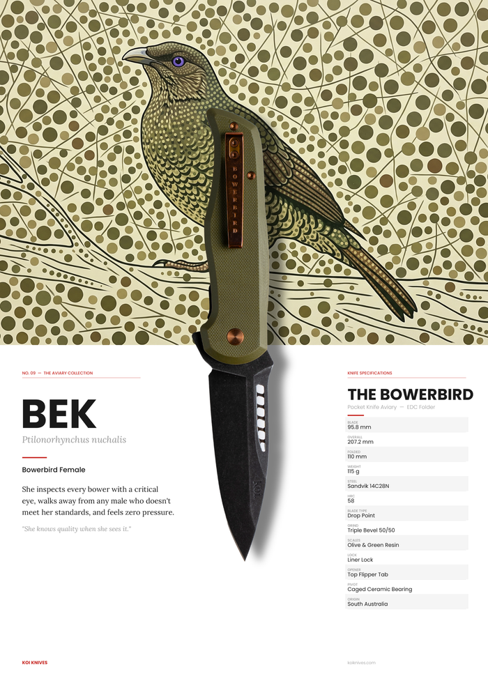 "Bek" | The Female Bowerbird Pocket Knife