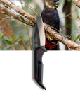 "Georgia" | The Glossy Black Cockatoo EDC Pocket Knife