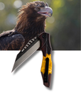 "Evan" | The Wedge Tailed Eagle EDC Pocket Knife