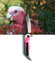 "Garry" | The Galah EDC Pocket Knife