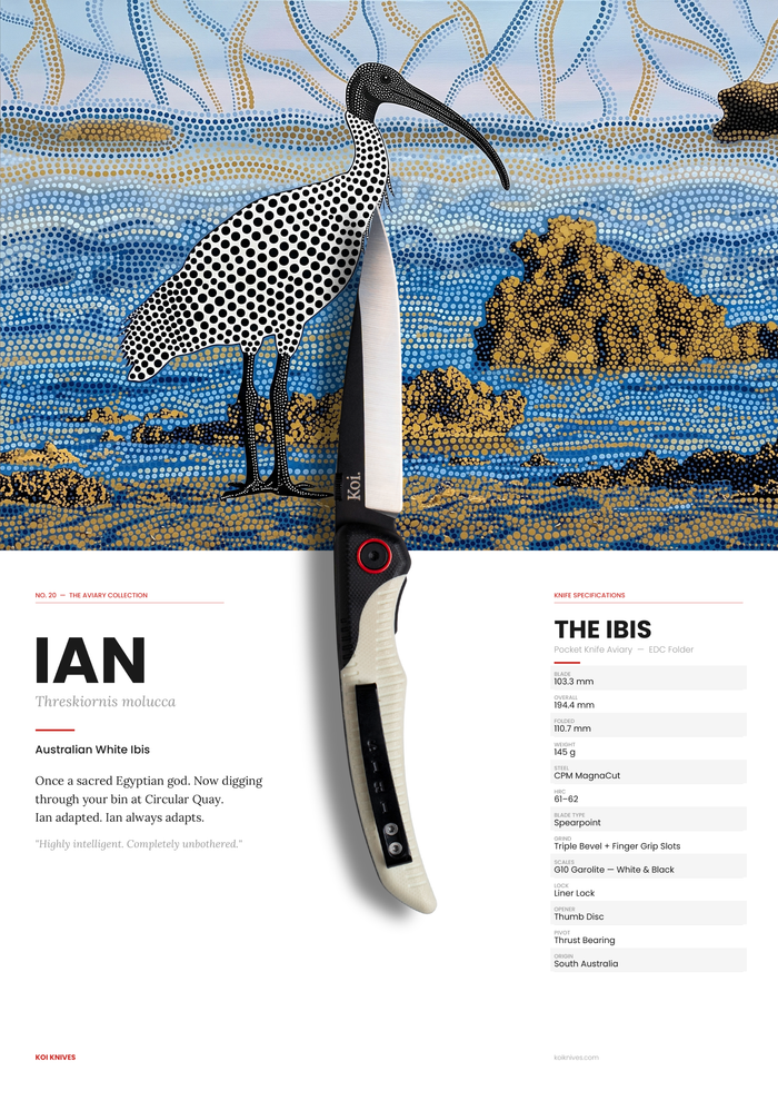 "Ian" | The Ibis Pocket Knife AKA "Bin Chicken"