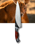 Kevin the Big Red | The BBQ Chef's Knife