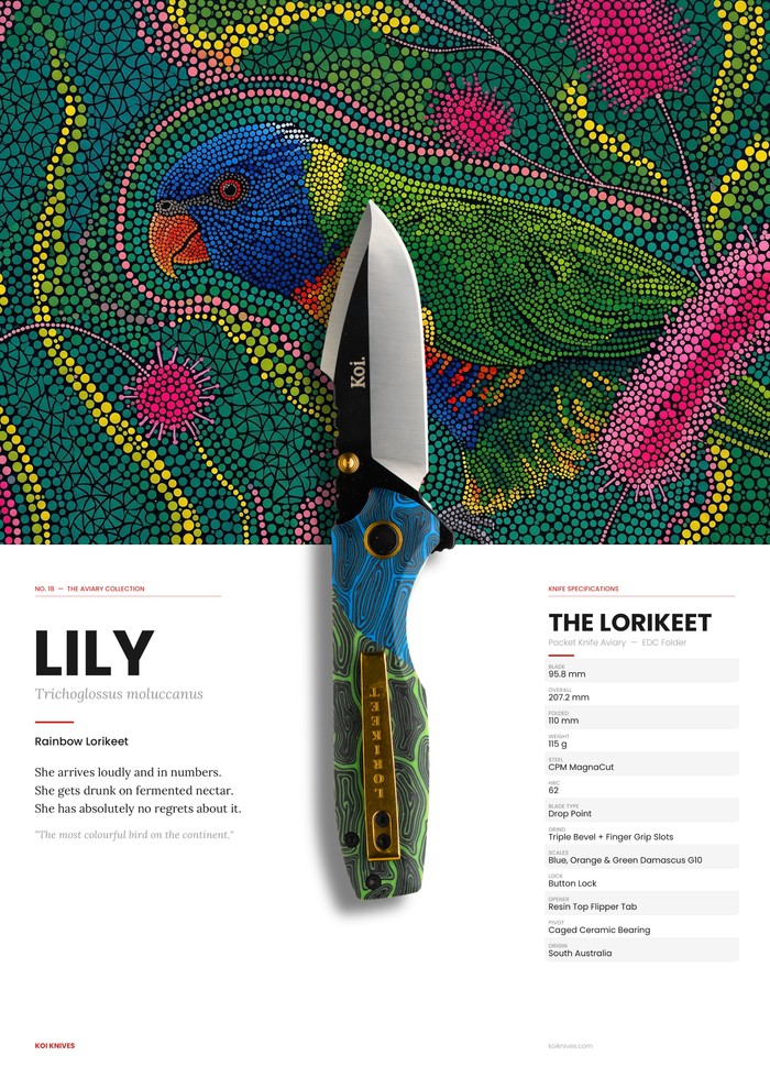 "Lily" | The Rainbow Lorikeet Pocket Knife