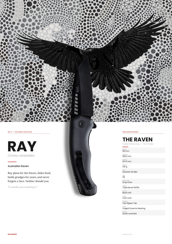 "Ray" | The Raven EDC Pocket Knife