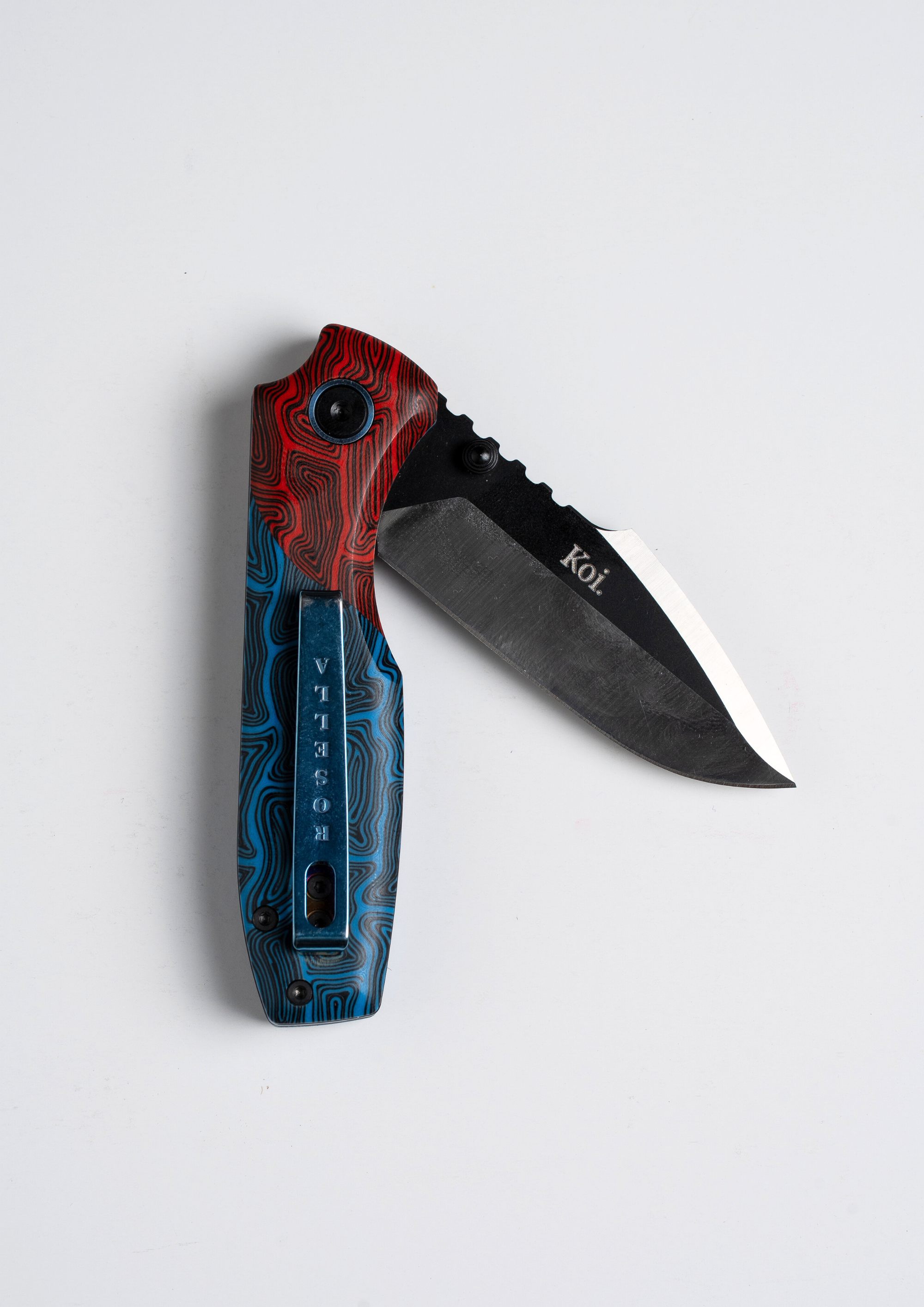 "Ruby" | The Crimson Rosella