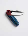 "Ruby" | The Crimson Rosella