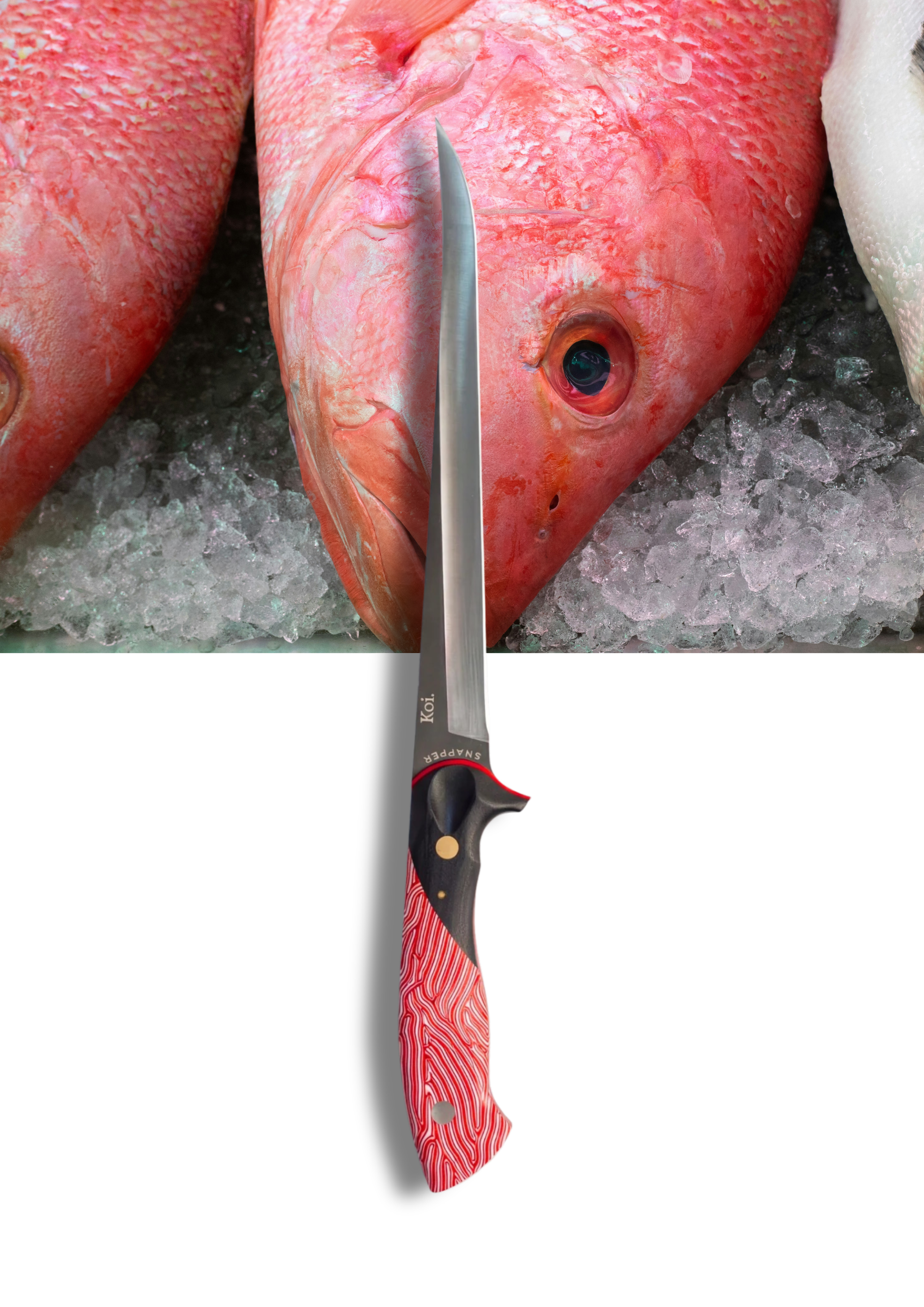 Filleting Knife | The Snapper