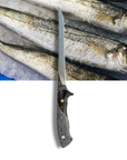 Filleting Knife | 3 Piece Set