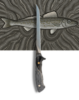 Filleting Knife | The King George Whiting